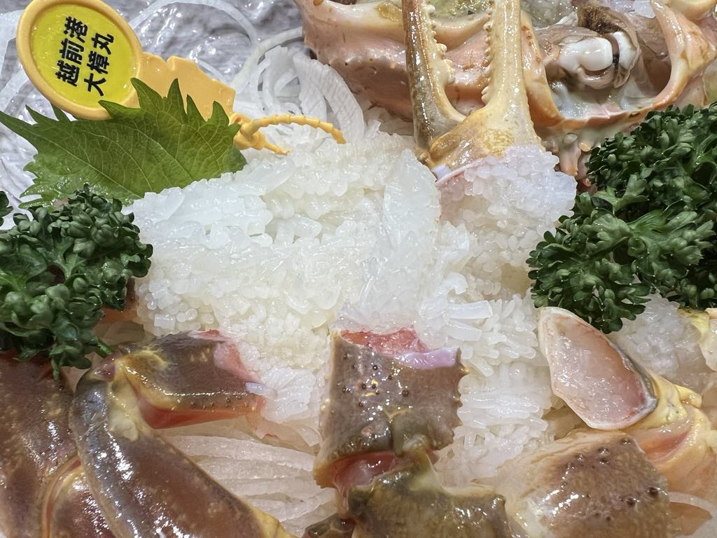 越前かにシーズン間近！ | 越前海岸すぐ かに・活魚料理 うみの宿 さへい