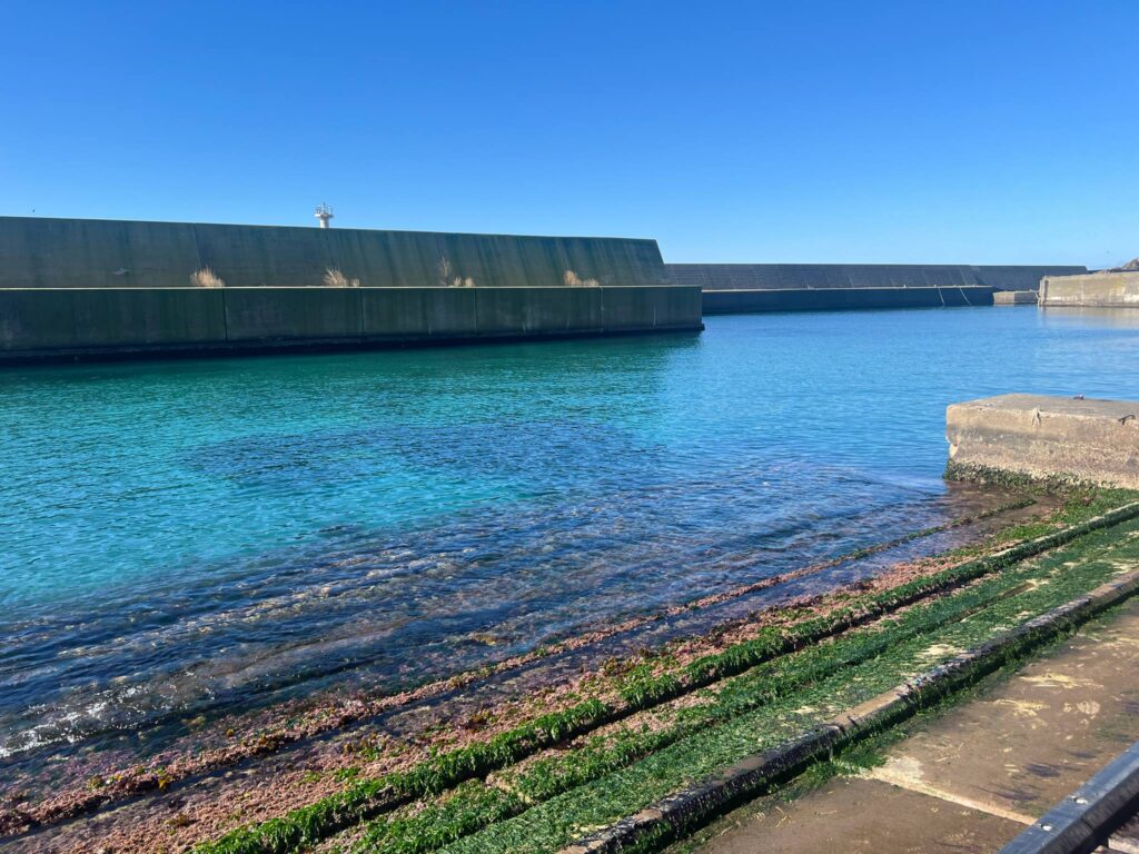 窓の外に広がる春の日本海。日常を忘れる癒しの休日】 | 越前海岸すぐ